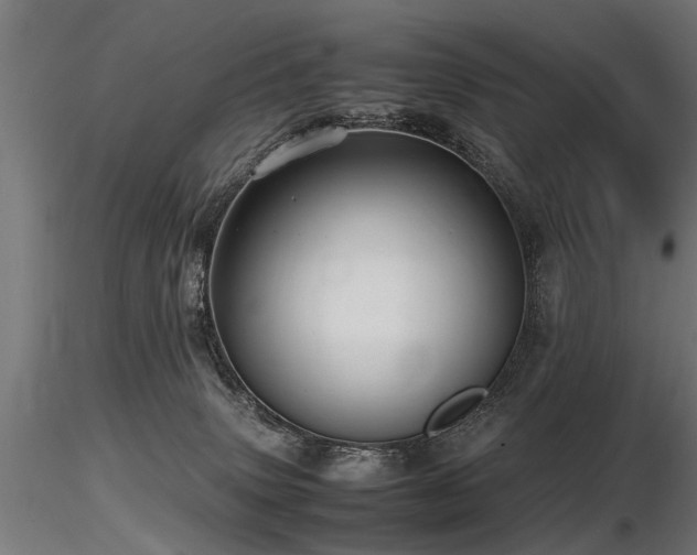 X0000116580083200912101550