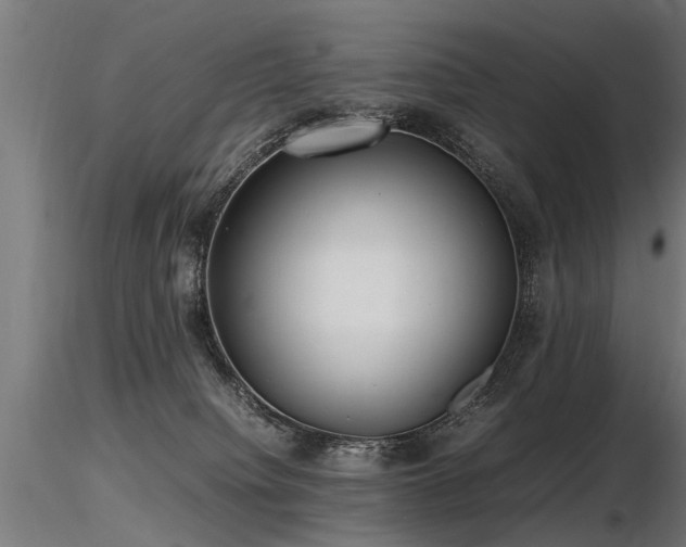 X0000116580084200912101550