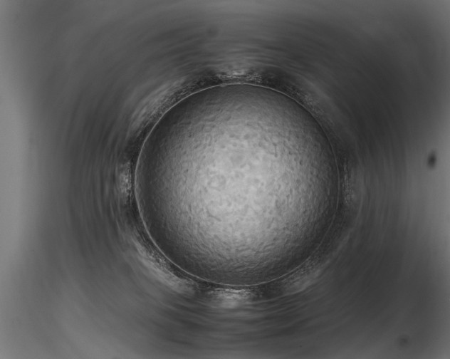 X0000116580085200912101550