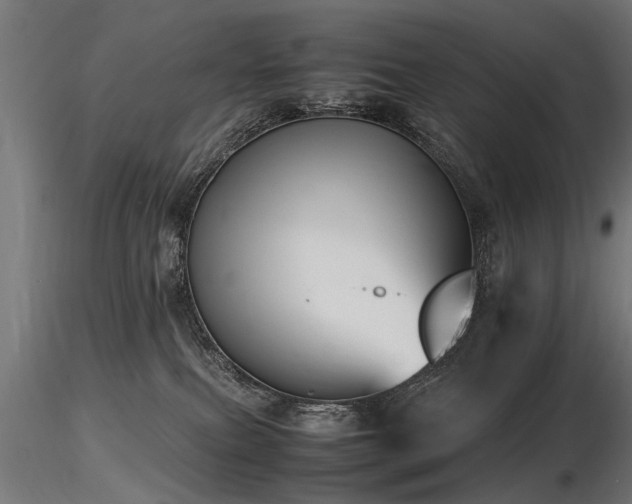 X0000116580087200912101550