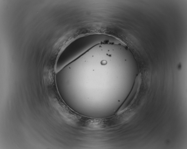 X0000116580088200912101550