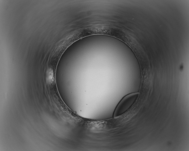 X0000116580089200912101550