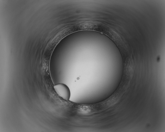 X0000116580091200912101550