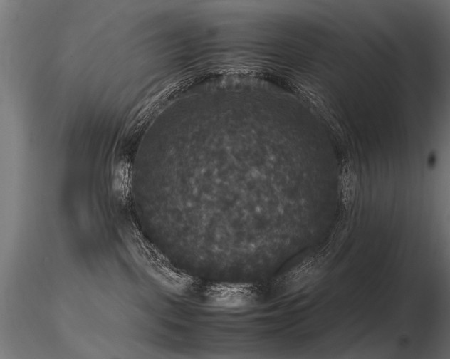 X0000116580093200912101550