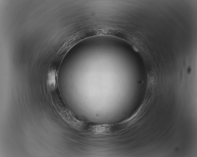 X0000116580094200912101550