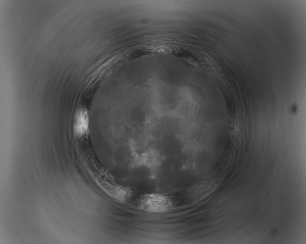 X0000116580095200912101550