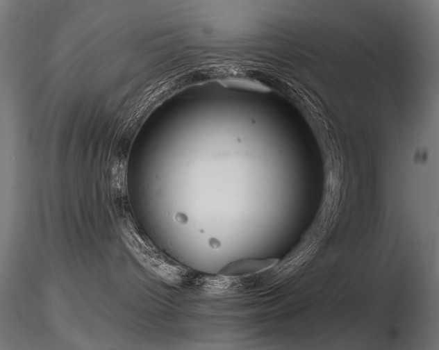 X0000116580096200912101550