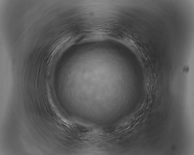 X0000116580097200912101549