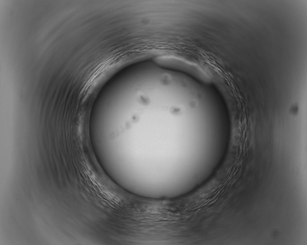 X0000116580098200912101549