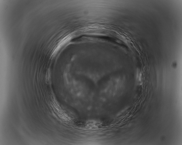 X0000116580099200912101549