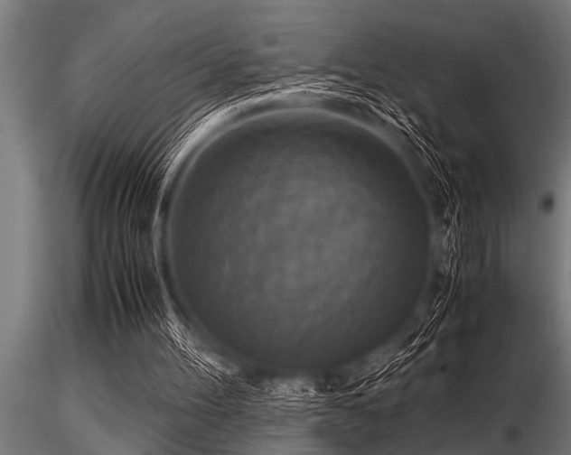 X0000116580100200912101549