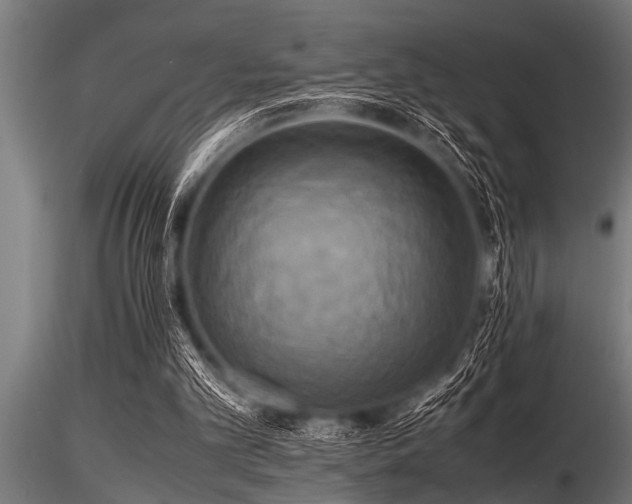 X0000116580101200912101549