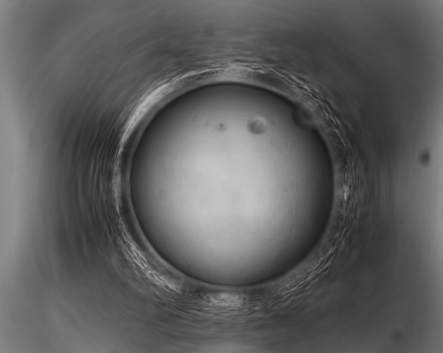 X0000116580102200912101549