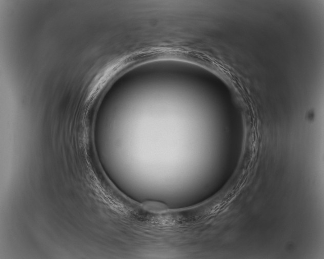 X0000116580103200912101549