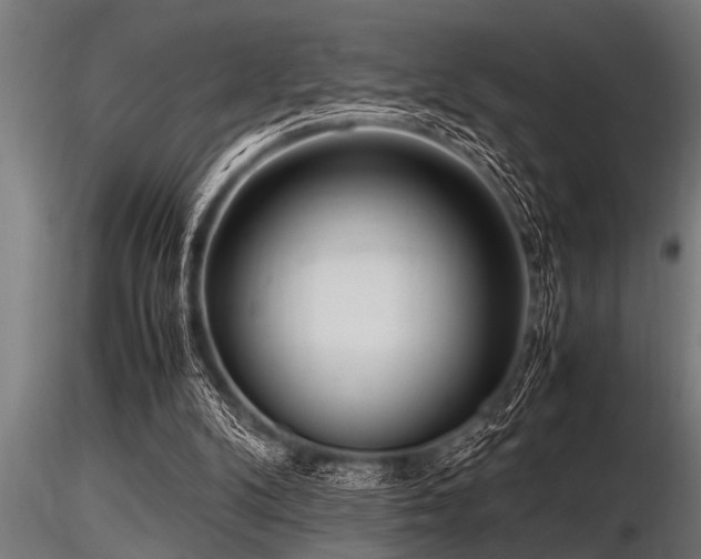 X0000116580104200912101549