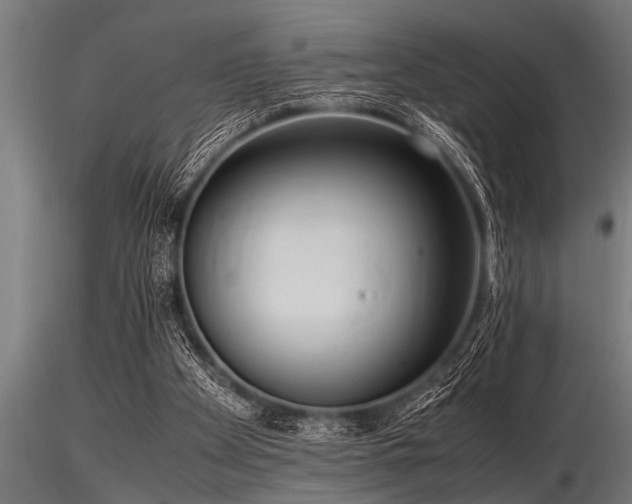 X0000116580105200912101549