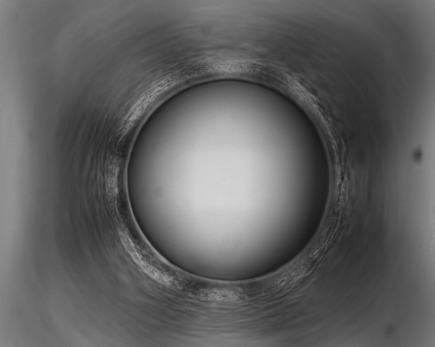 X0000116580106200912101549