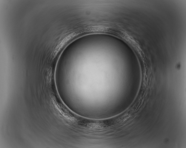 X0000116580107200912101549