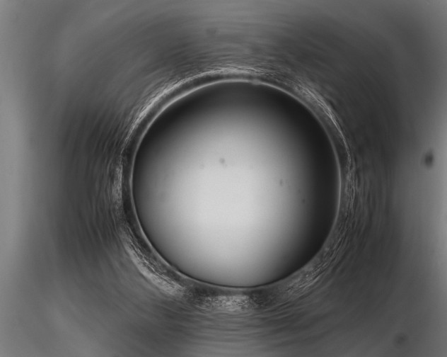 X0000116580108200912101549