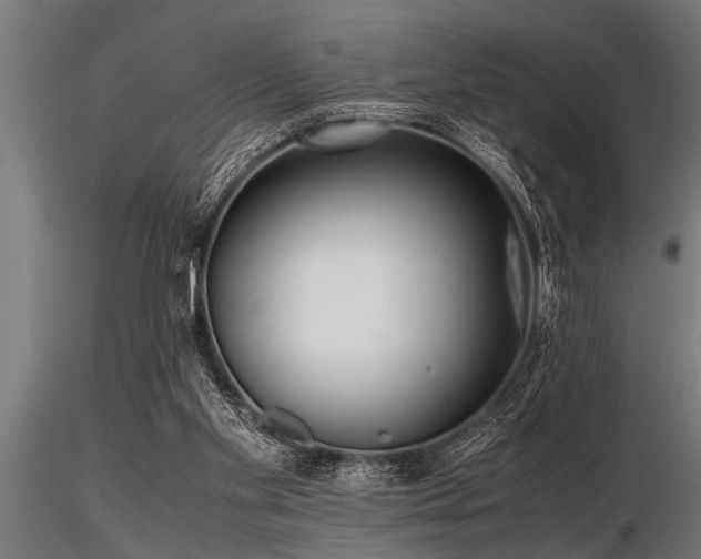 X0000116580109200912101549