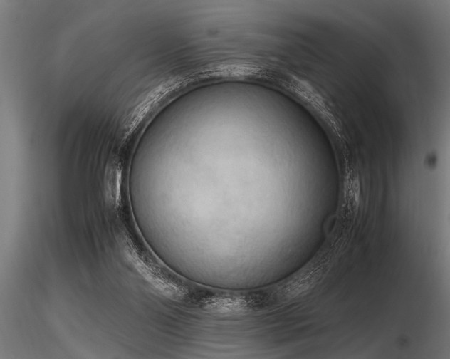 X0000116580110200912101549