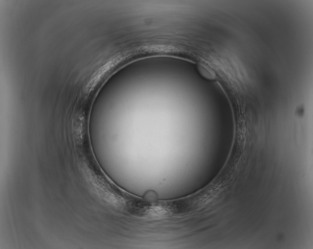 X0000116580111200912101549