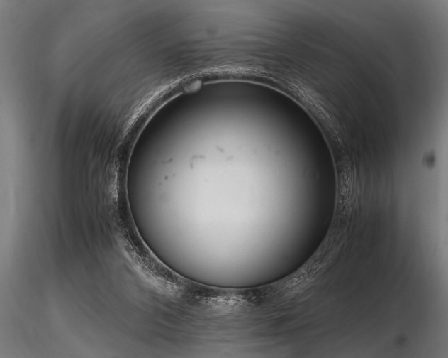 X0000116580112200912101549