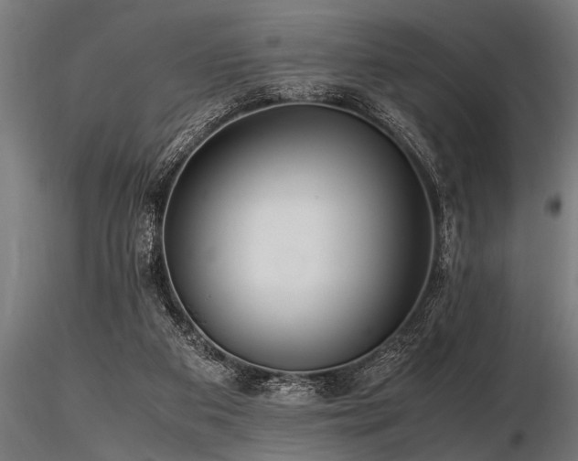 X0000116580113200912101549