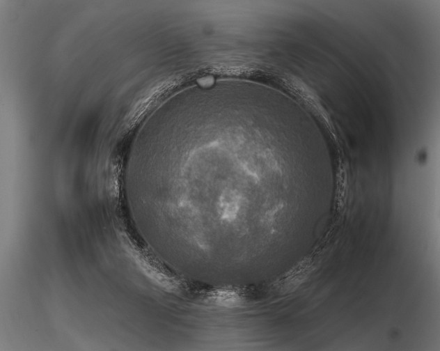 X0000116580114200912101549