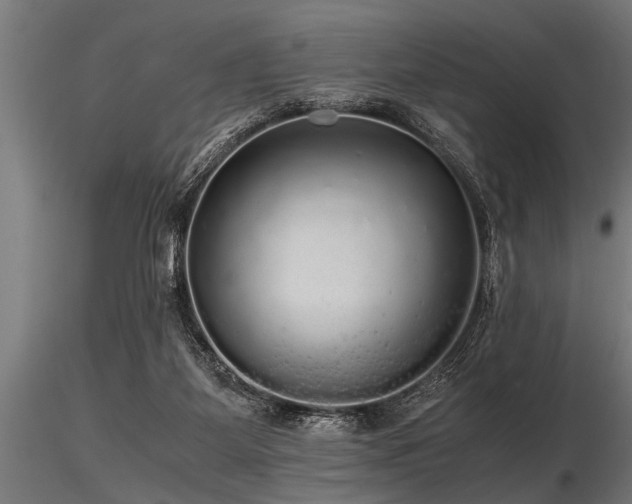 X0000116580115200912101549