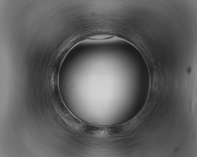 X0000116580116200912101549