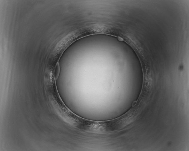 X0000116580117200912101549