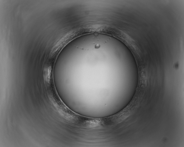 X0000116580118200912101549