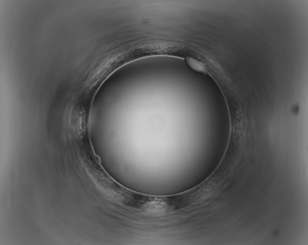 X0000116580119200912101549