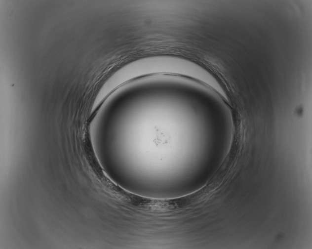 X0000116580121200912101549