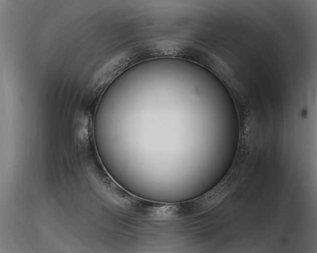 X0000116580122200912101549