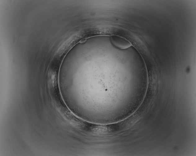 X0000116580123200912101549