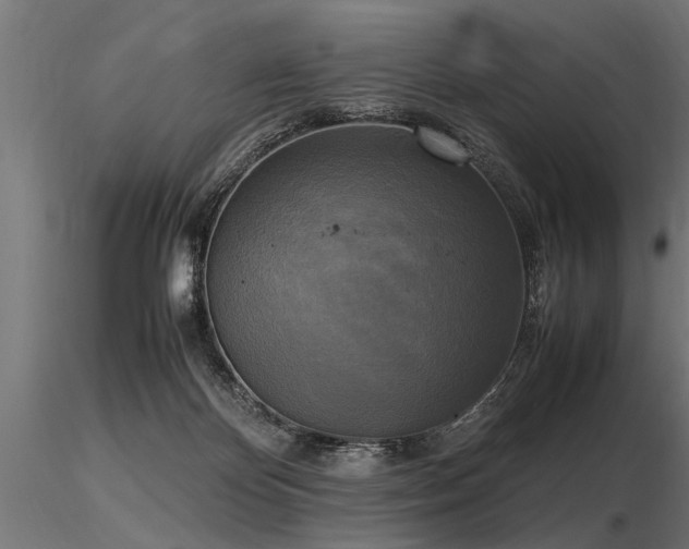 X0000116580124200912101549