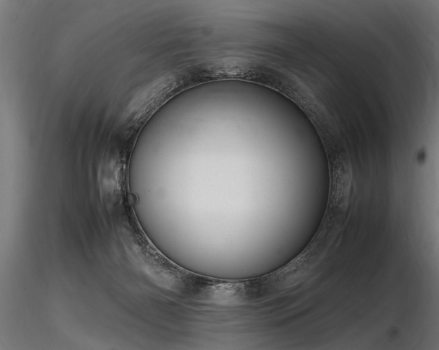 X0000116580126200912101549