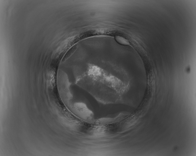 X0000116580127200912101549