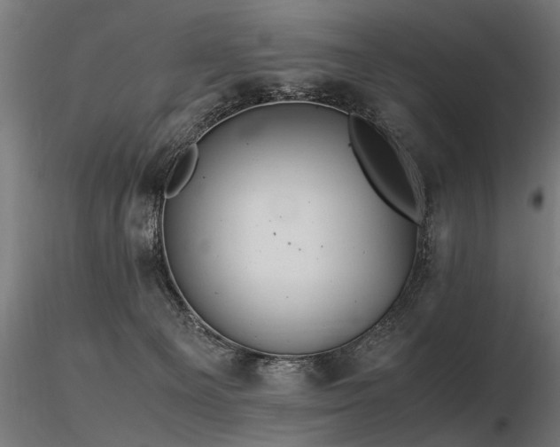 X0000116580129200912101549