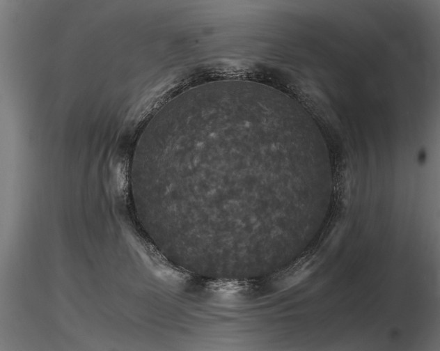 X0000116580131200912101549