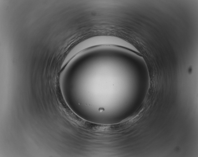 X0000116580132200912101549