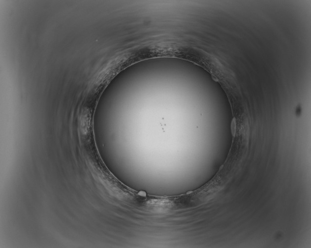 X0000116580133200912101549