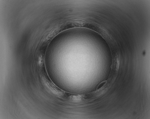 X0000116580134200912101549