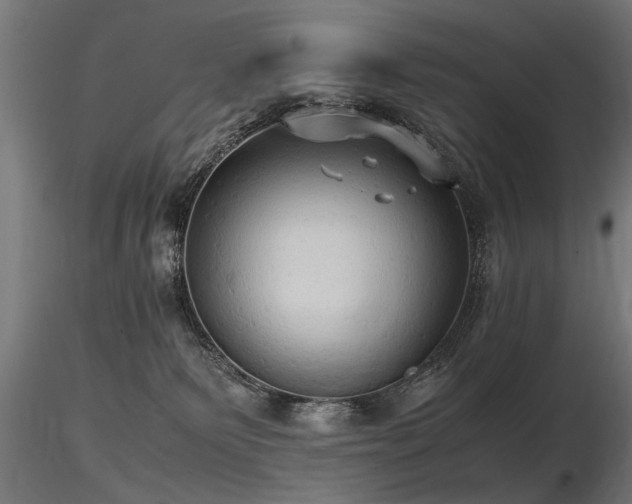 X0000116580135200912101549