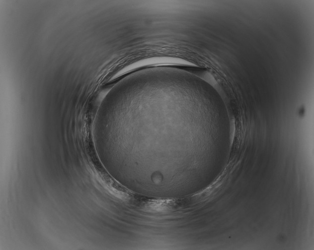 X0000116580136200912101549