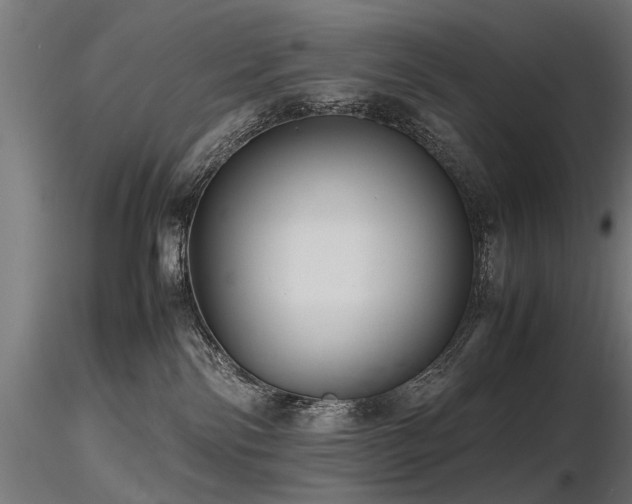 X0000116580138200912101549