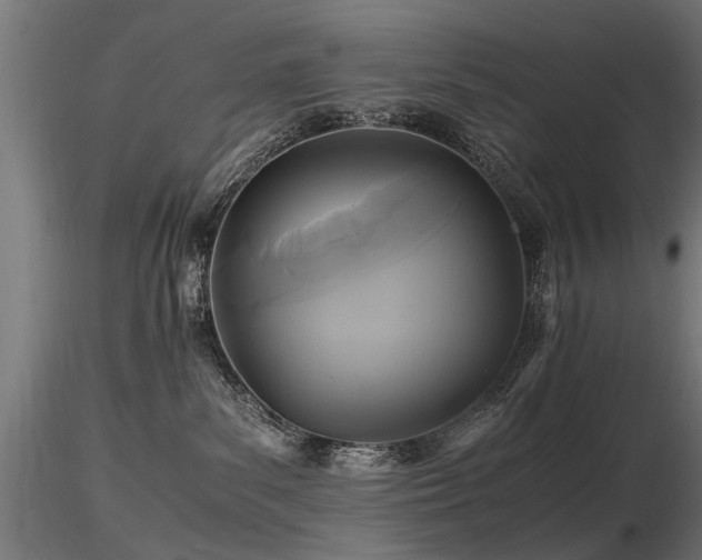 X0000116580139200912101549