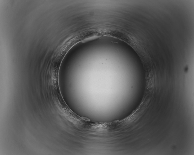 X0000116580140200912101549